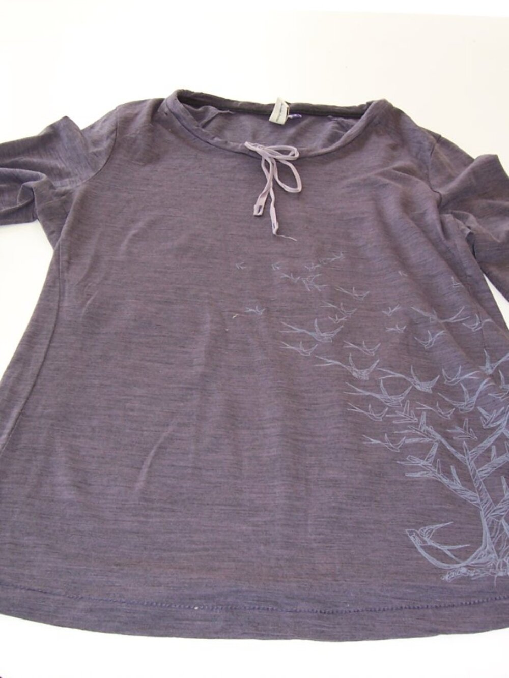 Ibex 100% Merino Wool Long Sleeved Tee, Size Small
